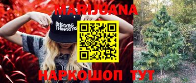 тгк Пенза