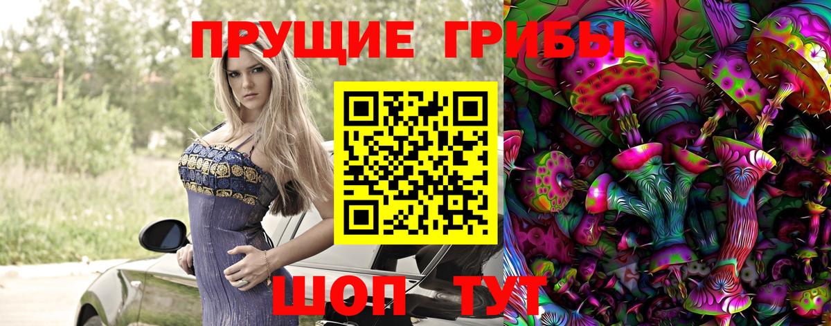Псилоцибиновые грибы мицелий  Вход с VPN  Александров 